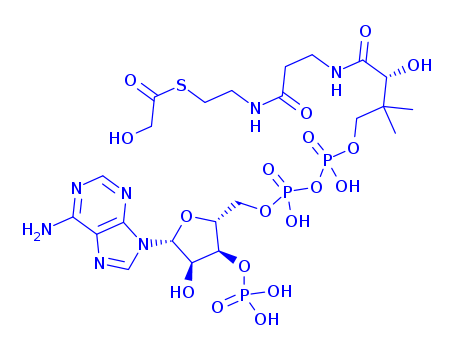 glycoyl-coenzyme A