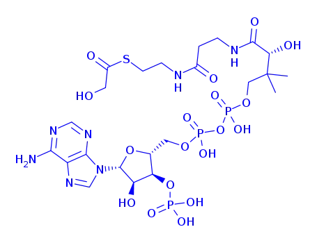 Molecular Structure of 1264-31-9 (glycoyl-coenzyme A)