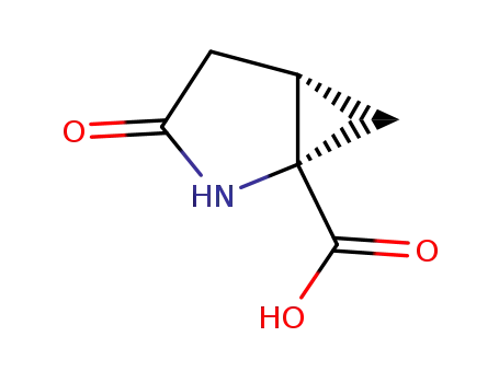 2,3-methanopyroglutamic acid