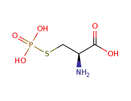 Molecular Structure of 115562-30-6 (S-phosphocysteine)