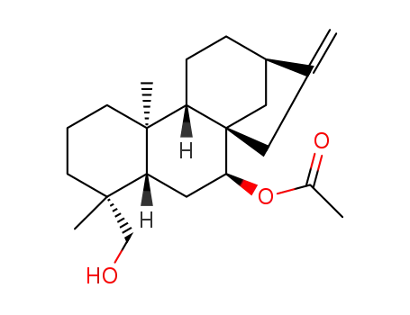 7β-acetoxy-19-hydroxy-ent-kaur-16-ene