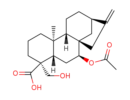 7β-acetoxy-19-hydroxy-ent-kaur-16-en-18-oic acid