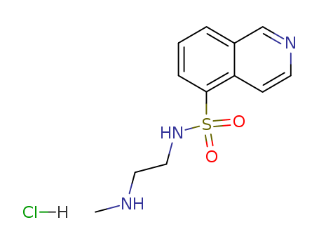 N-(2-(methylamino)ethyl)-5-*isoquinolinesulfonami