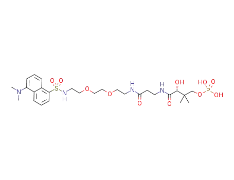 phosphoric acid mono-{3-[2-(2-{2-[2-(5-dimethylamino-naphthalene-1-sulfonylamino)-ethoxy]-ethoxy}-ethylcarbamoyl)-ethylcarbamoyl]-3-hydroxy-2,2-dimethyl-propyl} ester