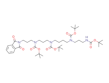 [3-(tert-butoxycarbonyl-{4-[tert-butoxycarbonyl-(3-tert-butoxycarbonylaminopropyl)-amino]-butyl}-amino)-propyl]-[3-(1,3-dioxo-1,3-dihydro-isoindol-2-yl)-propyl]-carbamic acid tertiary-butyl ester