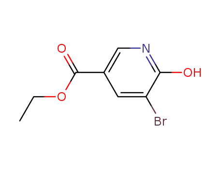 에틸 5-브로모-6-하이드록시니코티네이트