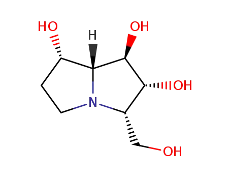 Molecular Structure of 119065-82-6 ((1R,2R,3S,7S,7aR)-3-(hydroxymethyl)hexahydro-1H-pyrrolizine-1,2,7-triol)
