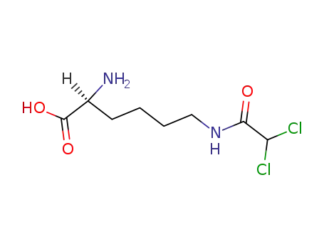 Molecular Structure of 92145-83-0 (N(epsilon)-(dichloroacetyl)lysine)