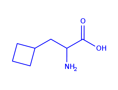 DL-Cyclobutylalanine