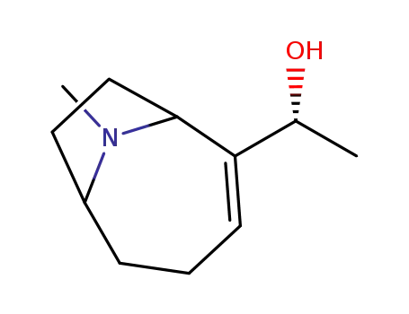 Molecular Structure of 120786-68-7 (N-methylanatoxin)