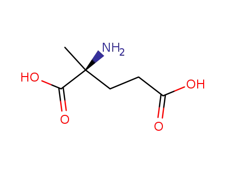 Molecular Structure of 470-51-9 (2-methylglutamic acid)
