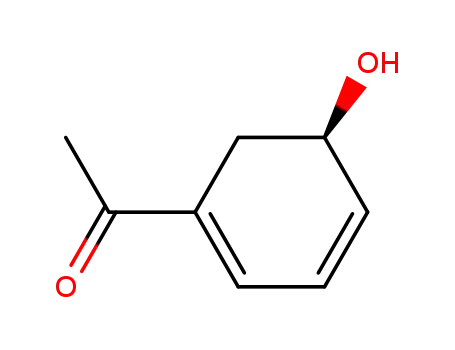Molecular Structure of 130384-72-4 (Ethanone, 1-(5-hydroxy-1,3-cyclohexadien-1-yl)-, (R)- (9CI))