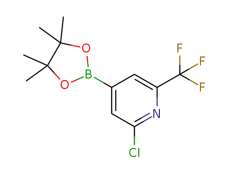 2-클로로-6-(트리플루오로메틸)피리딘-4-보론산 피나콜 에스테르