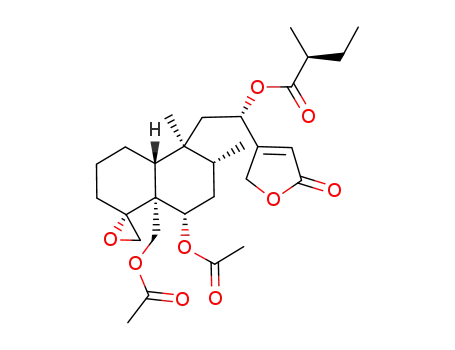 アジュガマリンF4