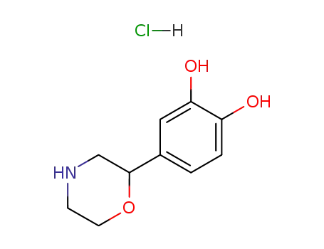 4-모르폴린-2-일피로카테콜 염산염