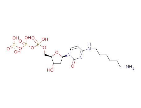 N(4)-(6-아미노헥실)데옥시시티딘 5'-트리포스페이트