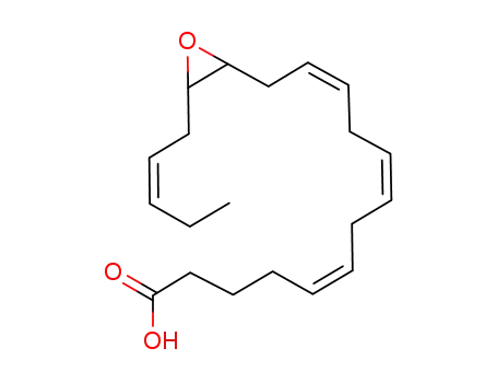 14,15-epoxyeicosatetraenoic acid