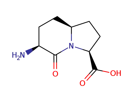Molecular Structure of 934660-55-6 ((3S,6S,8aS)-6-Amino-5-oxo-octahydro-indolizine-3-carboxylic acid)