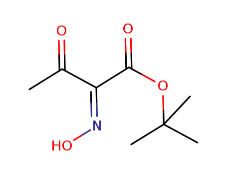 (E)-tert-butyl 2-(hydroxyiMino)-3-oxobutanoate