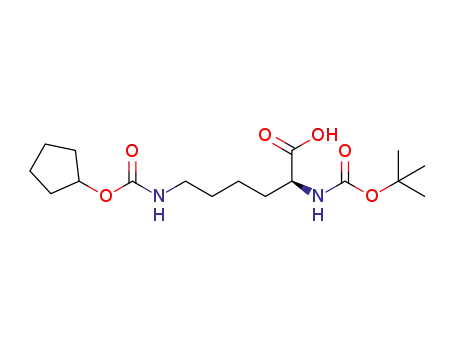 C<sub>17</sub>H<sub>30</sub>N<sub>2</sub>O<sub>6</sub>
