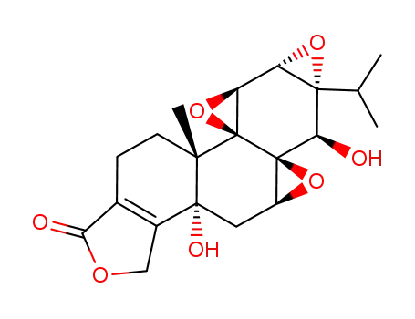 Molecular Structure of 583028-68-6 (5α-hydroxytriptolide)