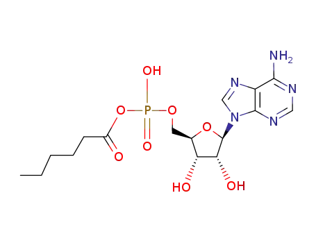 [5']adenylic acid hexanoic acid-anhydride