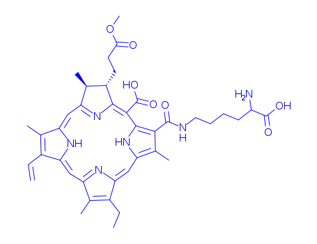 Molecular Structure of 140395-23-9 (lysyl chlorin p6)