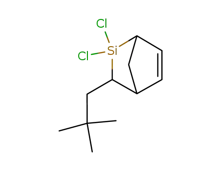 2,2-dichlor-3-neopentyl-2-silanorborn-5-en