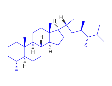 (20R,23R,24S)-디노스테란