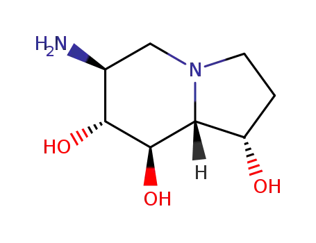 1,7,8-Indolizinetriol, 6-aminooctahydro-, 1S-(1.alpha.,6.beta.,7.alpha.,8.beta.,8a.beta.)-