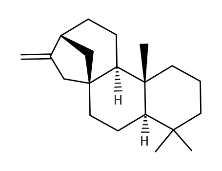 Molecular Structure of 469-85-2 (d,l-Kauren)