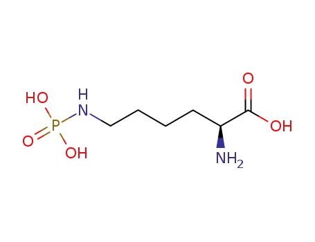 Molecular Structure of 14721-74-5 (N-epsilon phospholysine)