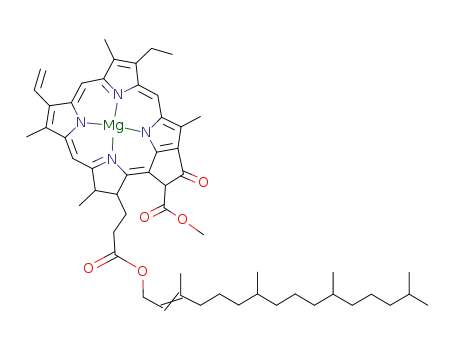 Molecular Structure of 479-61-8 (CHLOROPHYLL A)