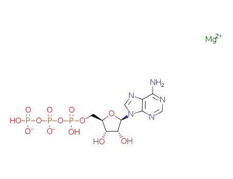 Molecular Structure of 74804-12-9 (ADENOSINE 5'-TRIPHOSPHATE MAGNESIUM SALT)