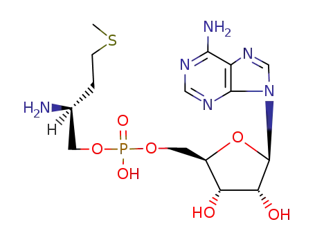 Molecular Structure of 13091-93-5 (methioninyl adenylate)