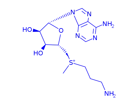 Molecular Structure of 15519-62-7 ((3-aminopropyl){[(2S,3S,4R,5R)-5-(6-amino-9H-purin-9-yl)-3,4-dihydroxytetrahydrofuran-2-yl]methyl}methylsulfonium (non-preferred name))
