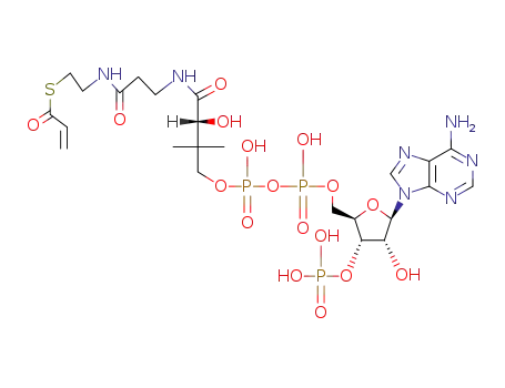 Molecular Structure of 5776-58-9 (S-[2-[3-[[4-[[[(2R,3S,4R,5R)-5-(6-aminopurin-9-yl)-4-hydroxy-3-phosphonooxyoxolan-2-yl]methoxy-hydroxyphosphoryl]oxy-hydroxyphosphoryl]oxy-2-hydroxy-3,3-dimethylbutanoyl]amino]propanoylamino]ethyl] prop-2-enethioate)