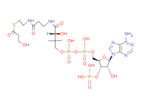 (2R,3S,4R,5R)-5-(6-AMINOPURIN-9-YL)-4-HYDROXY-2-[[HYDROXY-[HYDROXY-[3-HYDROXY-3-[2-[2-(3-HYDROXYPROPANOYLSULFANYL)ETHYLCARBAMOYL]ETHYLCARBAMOYL]-2,2-DIMETHYL-PROPOXY]PHOSPHORYL]OXY-PHOSPHORYL]OXYMETHY