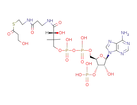 Molecular Structure of 157786-88-4 ([(2R,3S,4R,5R)-5-(6-aminopurin-9-yl)-4-hydroxy-2-[[hydroxy-[hydroxy-[3-hydroxy-3-[2-[2-(3-hydroxypropanoylsulfanyl)ethylcarbamoyl]ethylcarbamoyl]-2,2-dimethyl-propoxy]phosphoryl]oxy-phosphoryl]oxymethyl]oxolan-3-yl]oxyphosphonic acid)