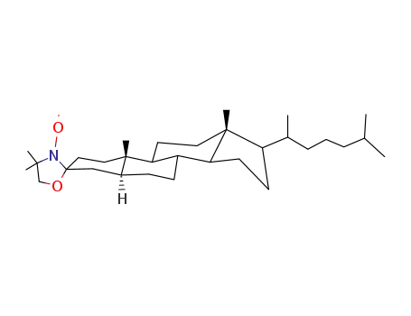 Molecular Structure of 18353-76-9 (3-DOXYL-5ALPHA-CHOLESTANE, FREE RADICAL)