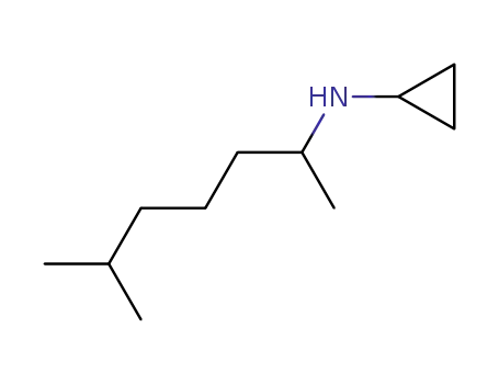 Molecular Structure of 16159-87-8 (N-(6-methylheptan-2-yl)cyclopropanamine)