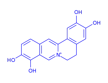 Molecular Structure of 162854-37-7 (Dibenzo[a,g]quinolizinium,5,6-dihydro-2,3,9,10-tetrahydroxy-)
