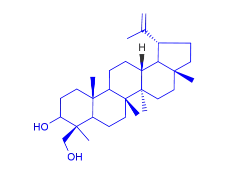 Molecular Structure of 163060-07-9 (Lup-20(29)-ene-3β,23-diol)