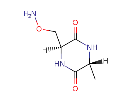 Molecular Structure of 16562-03-1 (2,5-Piperazinedione,3-[(aminooxy)methyl]-6-methyl-,(3R-cis)-(9CI))