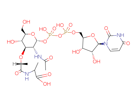 UDP-N-acetylmuramylalanine