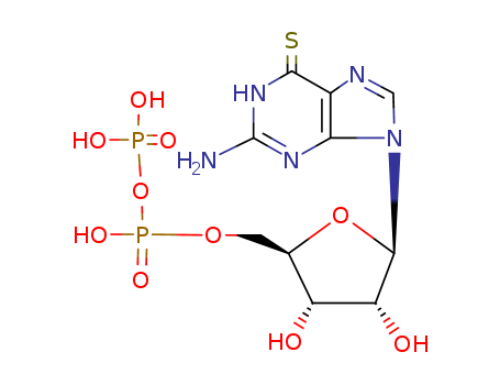 Guanosine5'-(trihydrogen diphosphate), 6-thio-                                                                                                                                                          