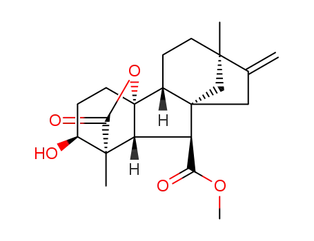 13-methylGA<sub>1</sub> 7-methyl ester