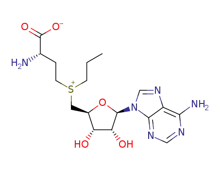 S-adenosyl-L-propionine
