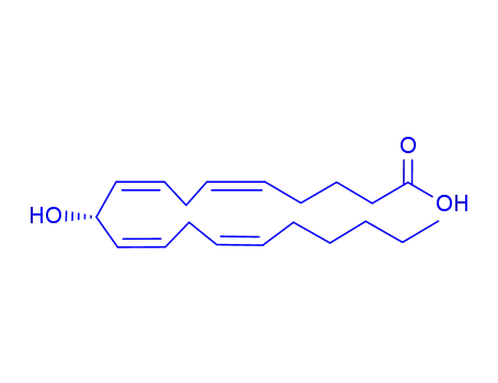 Molecular Structure of 167697-52-1 (10-hydroxyeicosatetraenoic acid)