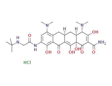 티게사이클린 염산염